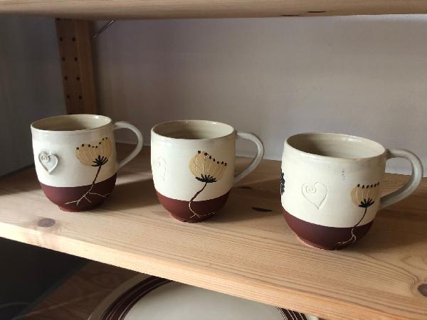 photo-cat3-25.jpg